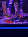 IMG_8022.jpeg