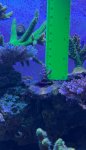IMG_2498.jpeg
