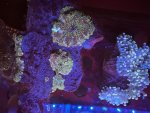 IMG_1548.jpeg