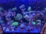 IMG_3358.jpeg
