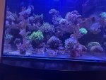 IMG_3360.jpeg
