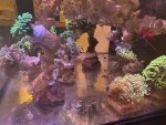IMG_3361.jpeg