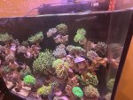 IMG_3356.jpeg