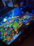 IMG_0743.jpeg