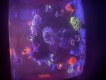 IMG_9439.jpeg