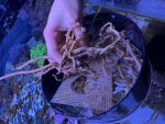 IMG_0518.jpeg