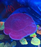 IMG_2040.jpeg