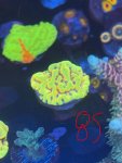 IMG_2044.jpeg