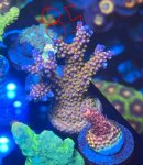 IMG_2047.jpeg