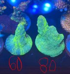 IMG_2048.jpeg