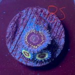 IMG_2061.jpeg