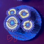 IMG_2065.jpeg