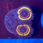 IMG_2067.jpeg
