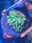 IMG_1364.jpeg