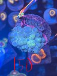 IMG_1360.jpeg