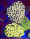 IMG_1149.jpeg