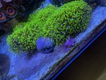 IMG_3269.jpeg
