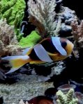 IMG_0093.jpeg