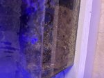 IMG_9264.jpeg