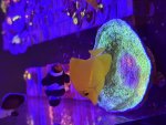 IMG_1613.jpeg