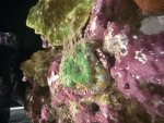 IMG_0960.jpeg