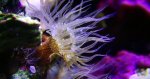 IMG_9621.jpeg