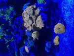 IMG_9838.jpeg