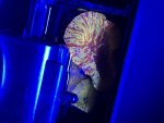 IMG_9840.jpeg