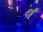 IMG_9724.jpeg