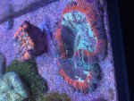 IMG_0623.jpeg