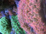 IMG_1693.jpeg