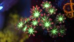 fireworks clove 1.JPG