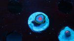 blue kiss 1 polyp 2.JPG