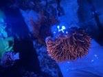IMG_5120.jpeg