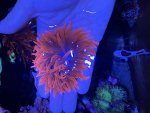 IMG_0123.jpeg