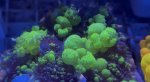 IMG_7117.jpeg