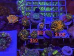 IMG_6774.jpeg