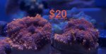 IMG_7106.jpeg