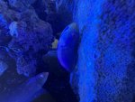 IMG_8527.jpeg