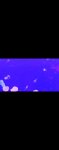 Screenshot_20260413_200821_Gallery.jpg