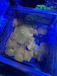IMG_1862.JPEG