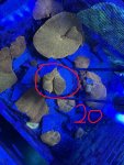 IMG_1865.JPEG