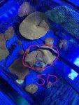 IMG_1866.JPEG