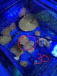 IMG_1867.JPEG