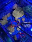 IMG_1870.JPEG