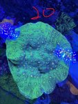IMG_1872.JPEG