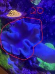 IMG_1874.JPEG