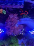 IMG_1875.JPEG