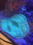 IMG_1877.JPEG
