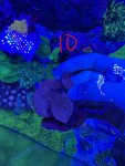 IMG_1878.JPEG